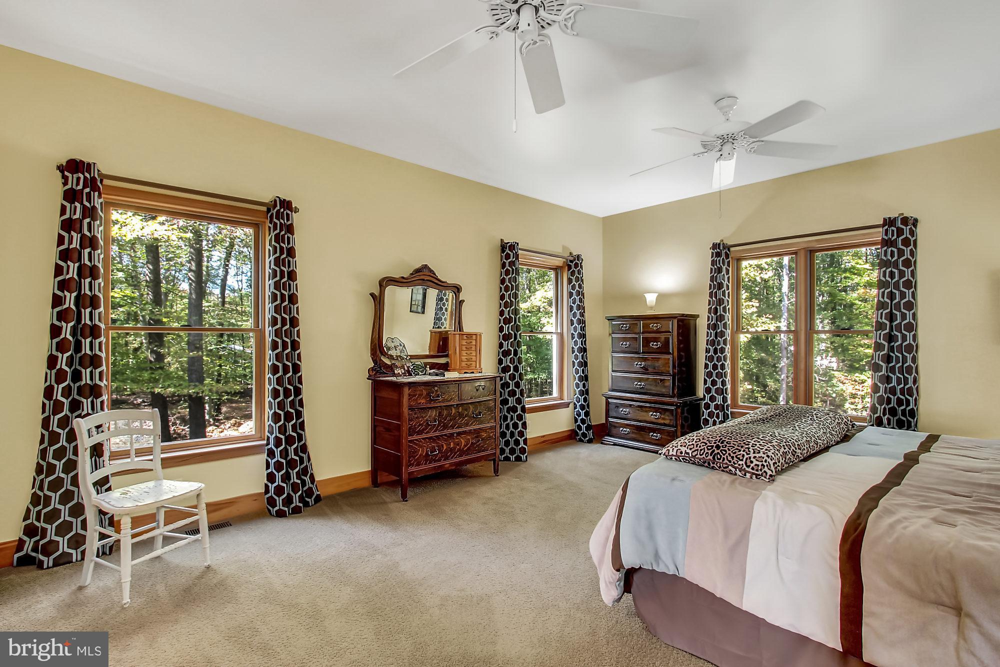 65 Sky View Road Elkton, MD 21921 - Photo 20 of 43 Wonderful views of nature in Master Bedroom