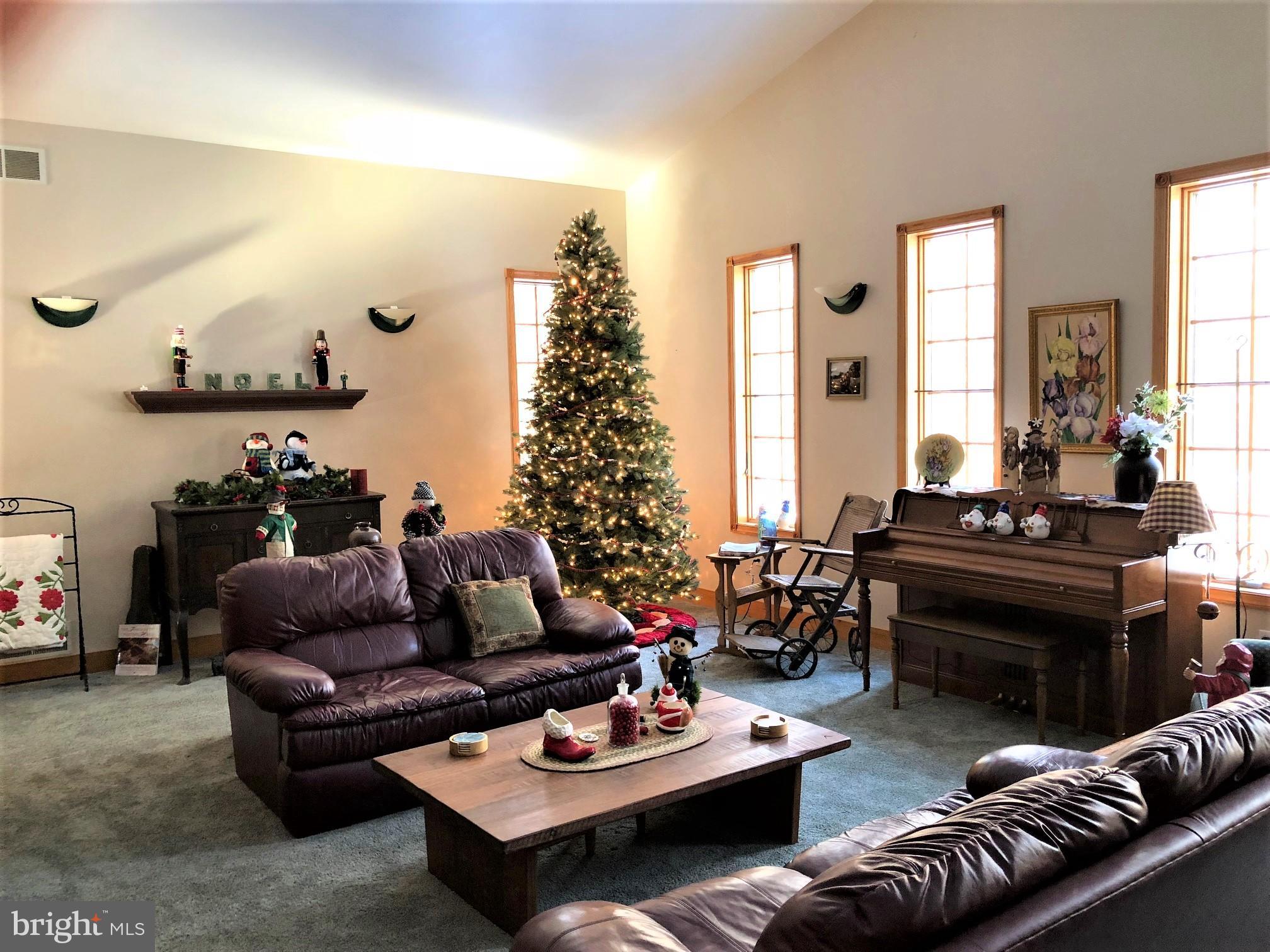 65 Sky View Road Elkton, MD 21921 - Photo 29 of 43 9 ft + Christmas Tree . . What will your wish be?