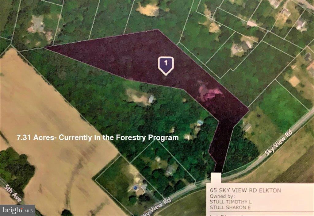 65 Sky View Road Elkton, MD 21921 - Photo 4 of 43 7.31 Acres enrolled in Forest Stewardship Plan