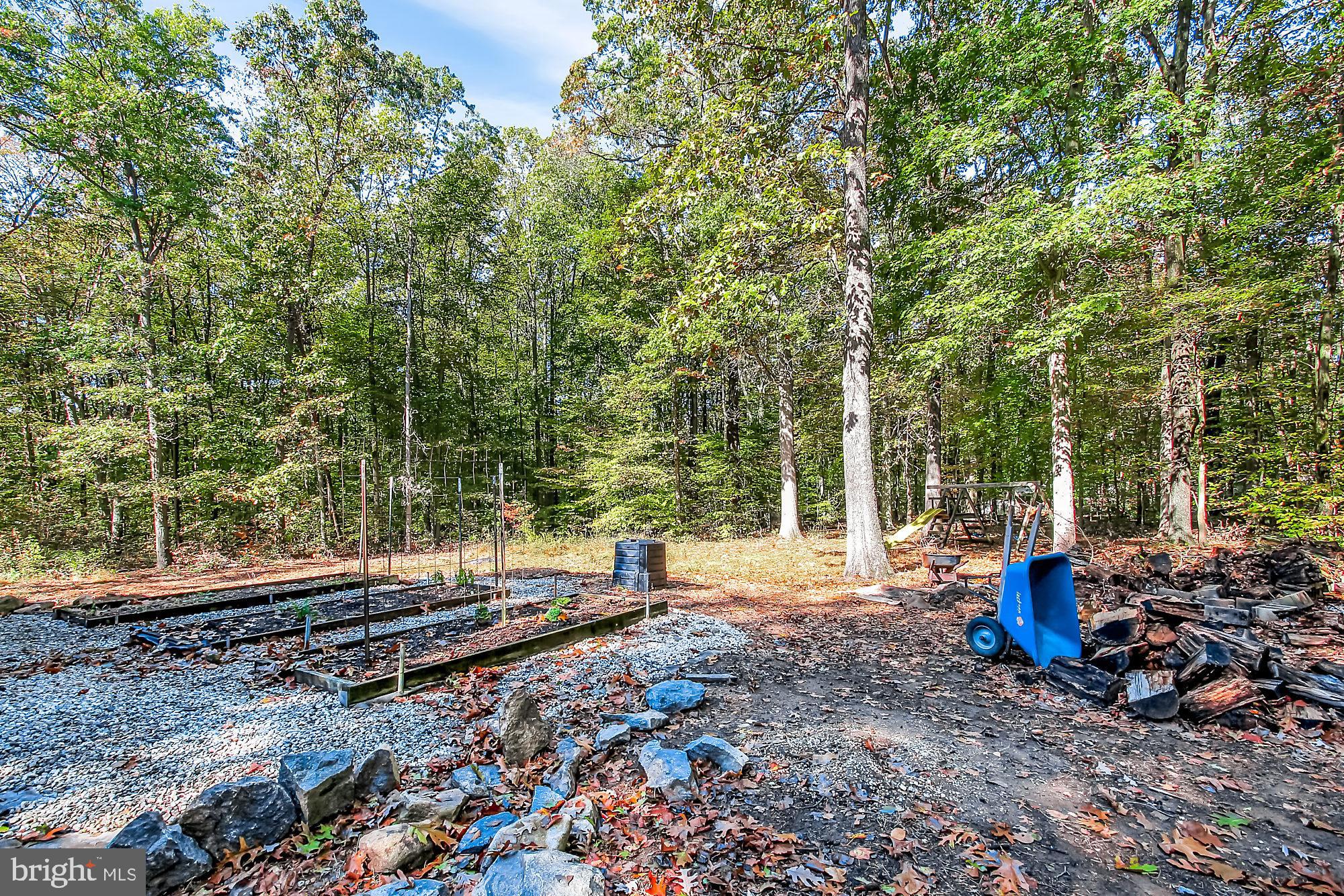 65 Sky View Road Elkton, MD 21921 - Photo 39 of 43 Expansive Backyard tucked in the Woods