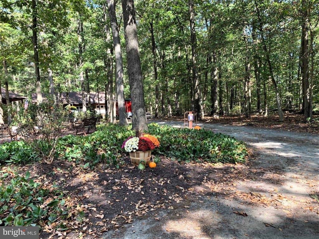 65 Sky View Road Elkton, MD 21921 - Photo 40 of 43 Attractively Landscaped and Secluded