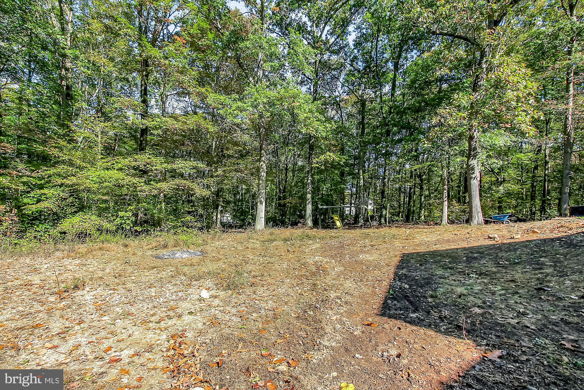 65 Sky View Road Elkton, MD 21921 - Photo 5 of 43 Surrounded by an abundance of nature