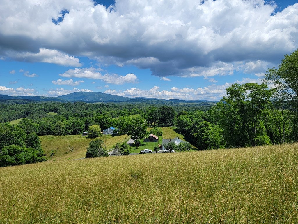 879 Shady Hill Road Independence, VA 24348 - Photo 3 of 60 Gallery Image 3