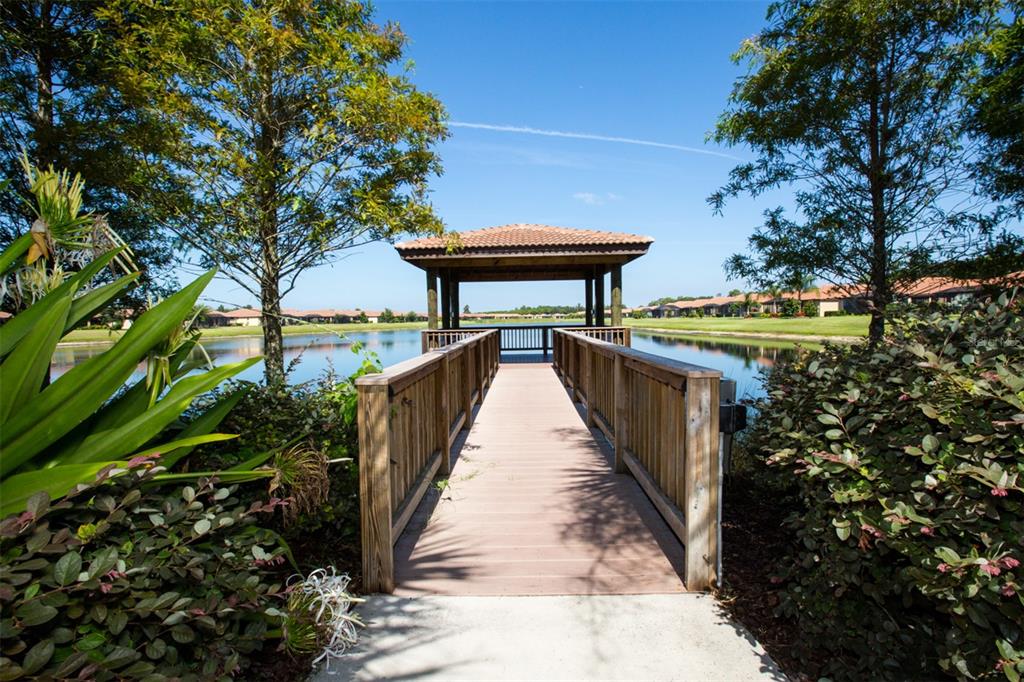 147 Silver Falls Drive Apollo Beach, FL 33572 - Photo 63 of 72