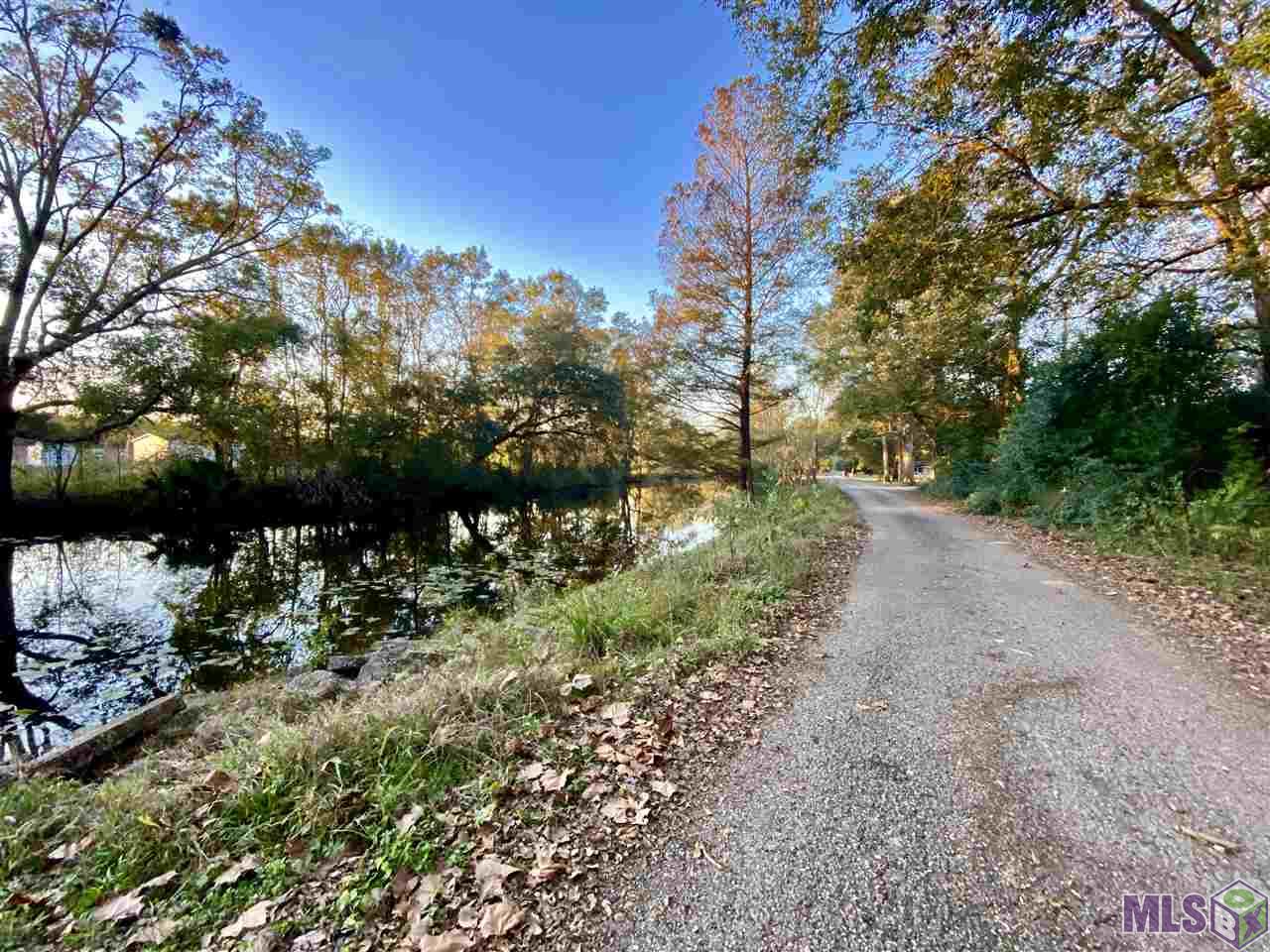 Lot # Lot Road St. Amant, LA 70774 - Photo 3 of 6 Gallery Image 3