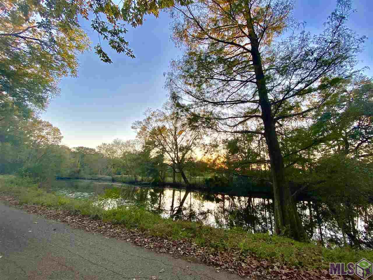 Lot # Lot Road St. Amant, LA 70774 - Photo 5 of 6 Gallery Image 5