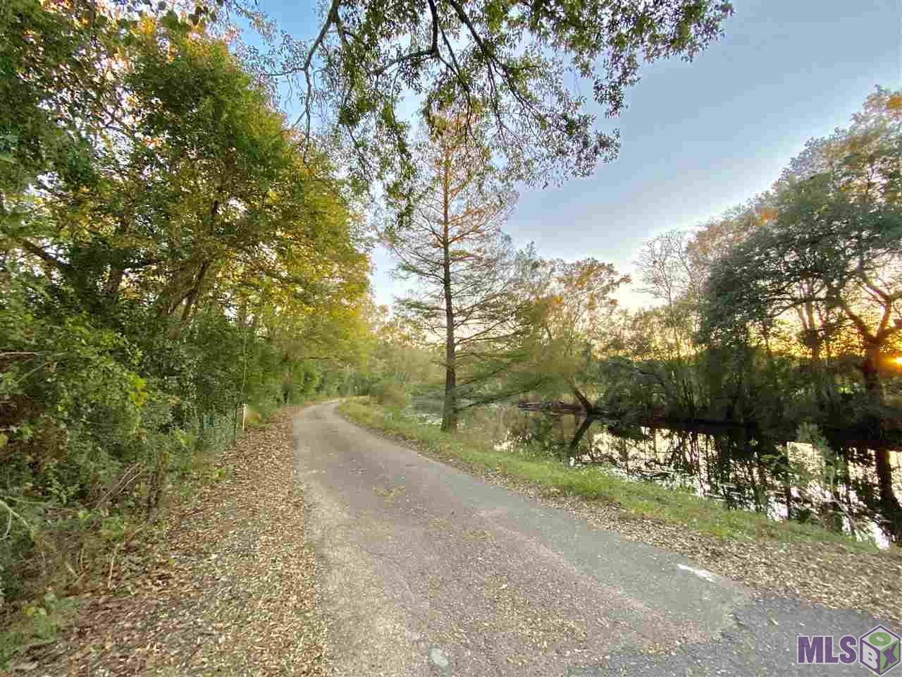 Lot # Lot Road St. Amant, LA 70774 - Photo 6 of 6 Gallery Image 6