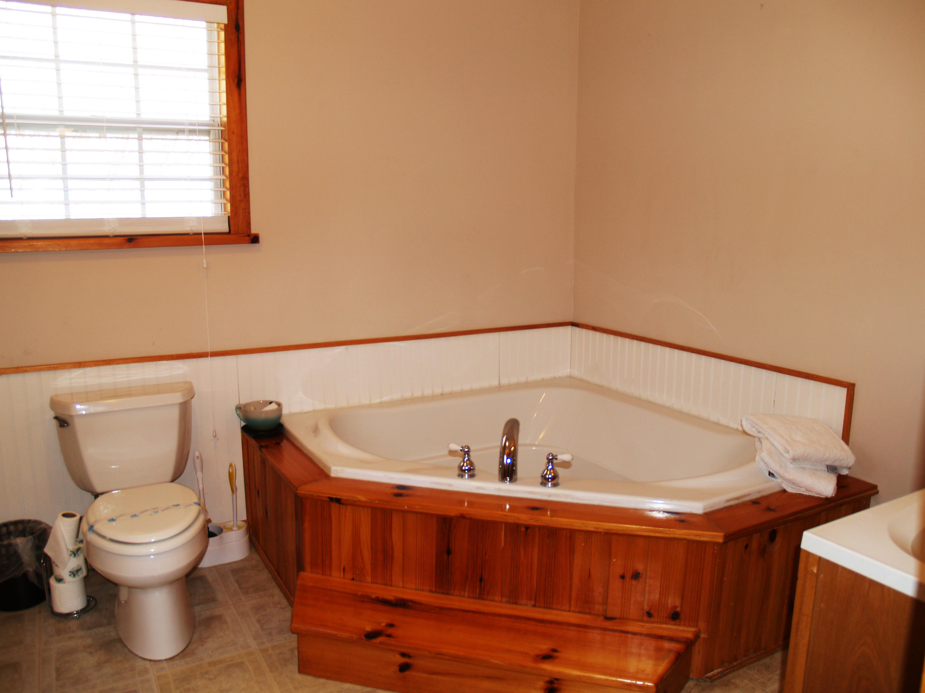 379 Laurel Road Townsend, TN 37882 - Photo 14 of 40 Master Bath