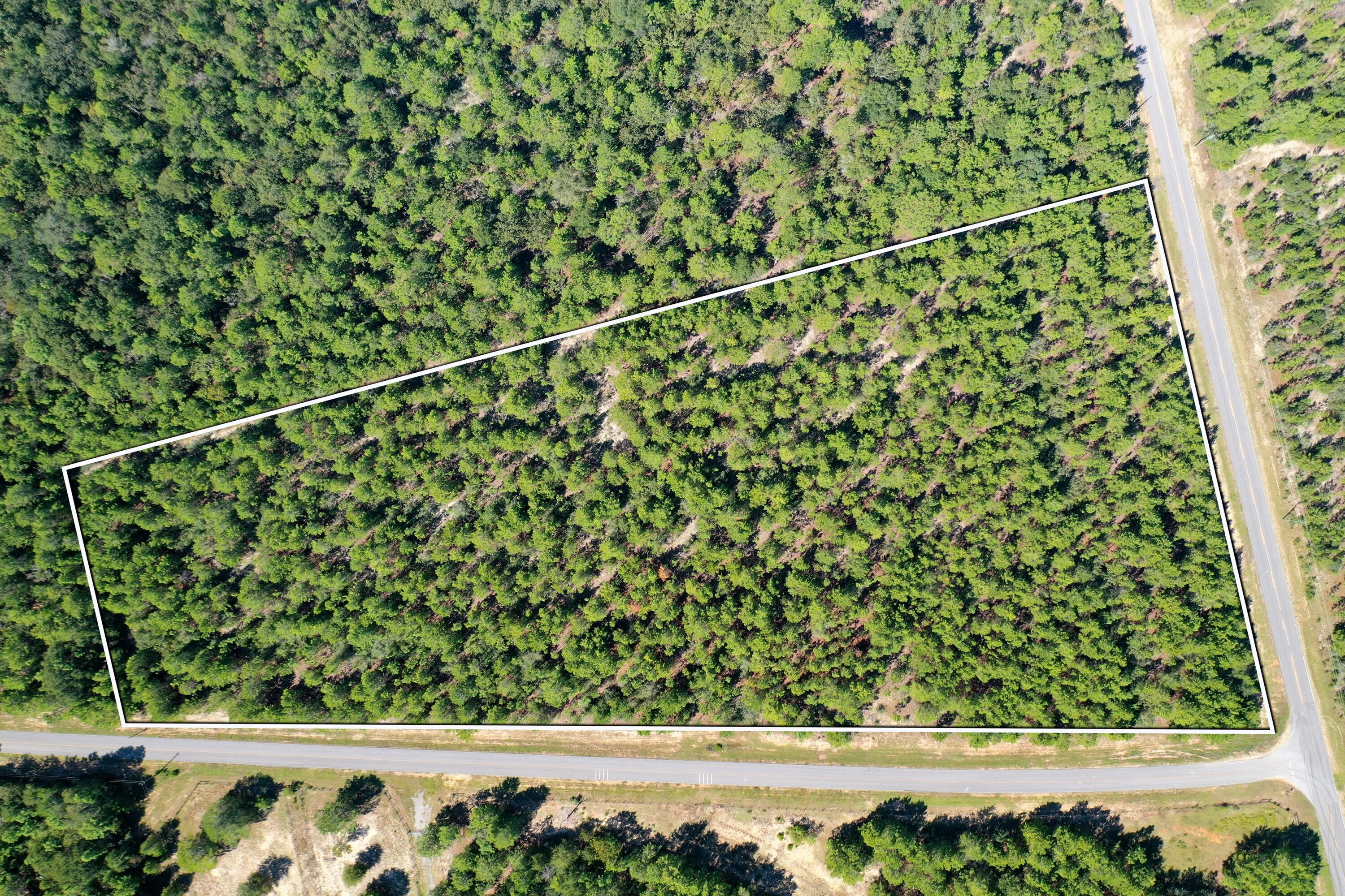 8-acres Crowder Chapel Road Crestview, FL 32539 - Photo 1 of 27 a backyard of a house with lots of plants