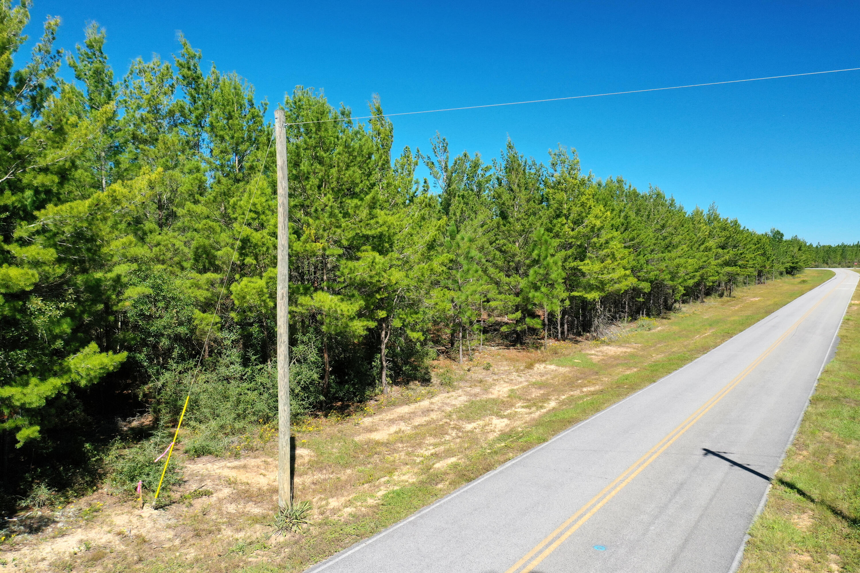 8-acres Crowder Chapel Road Crestview, FL 32539 - Photo 15 of 27 a view of a back yard from a balcony