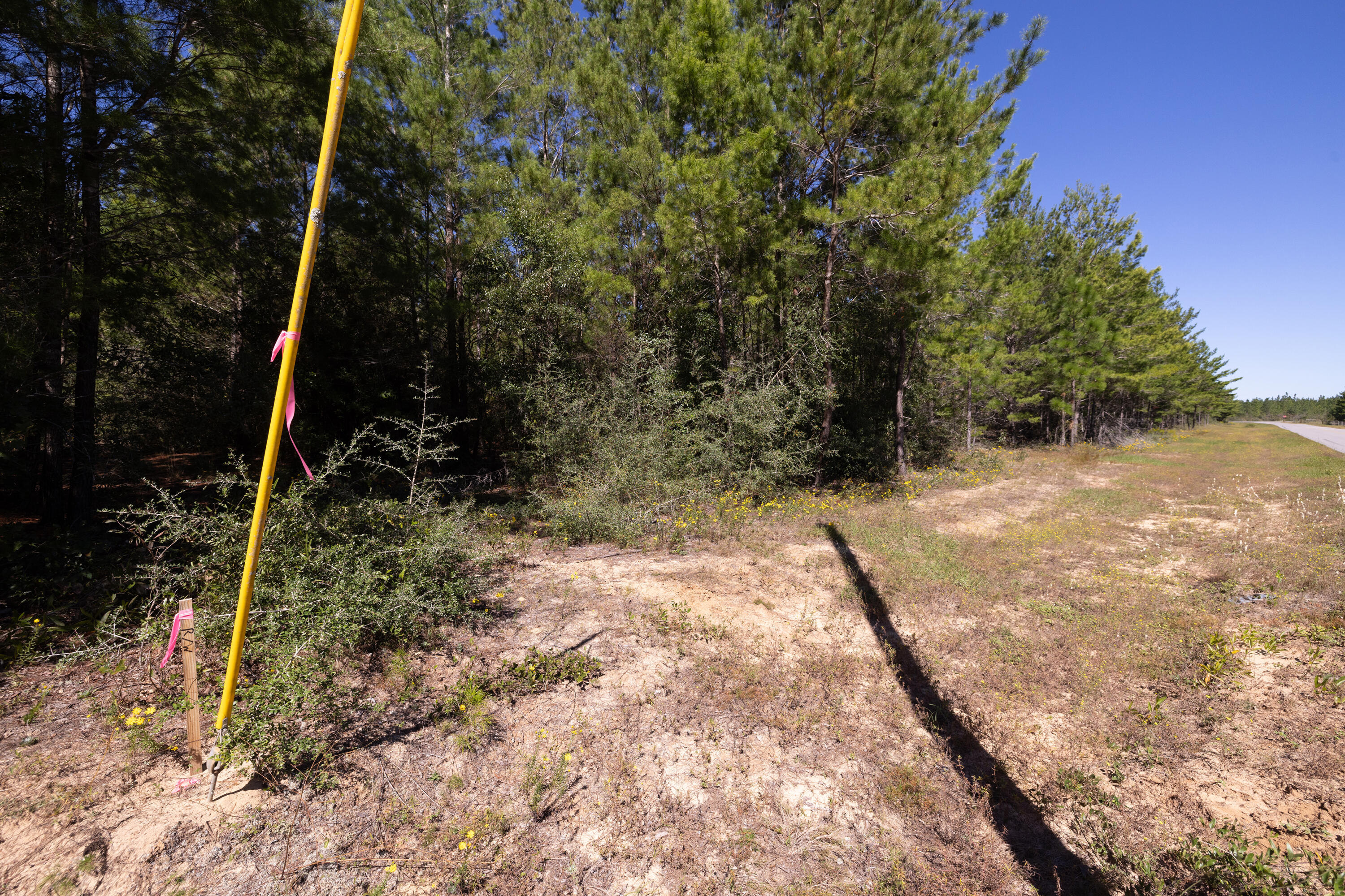 8-acres Crowder Chapel Road Crestview, FL 32539 - Photo 20 of 27 a backyard of a house with lots of green space