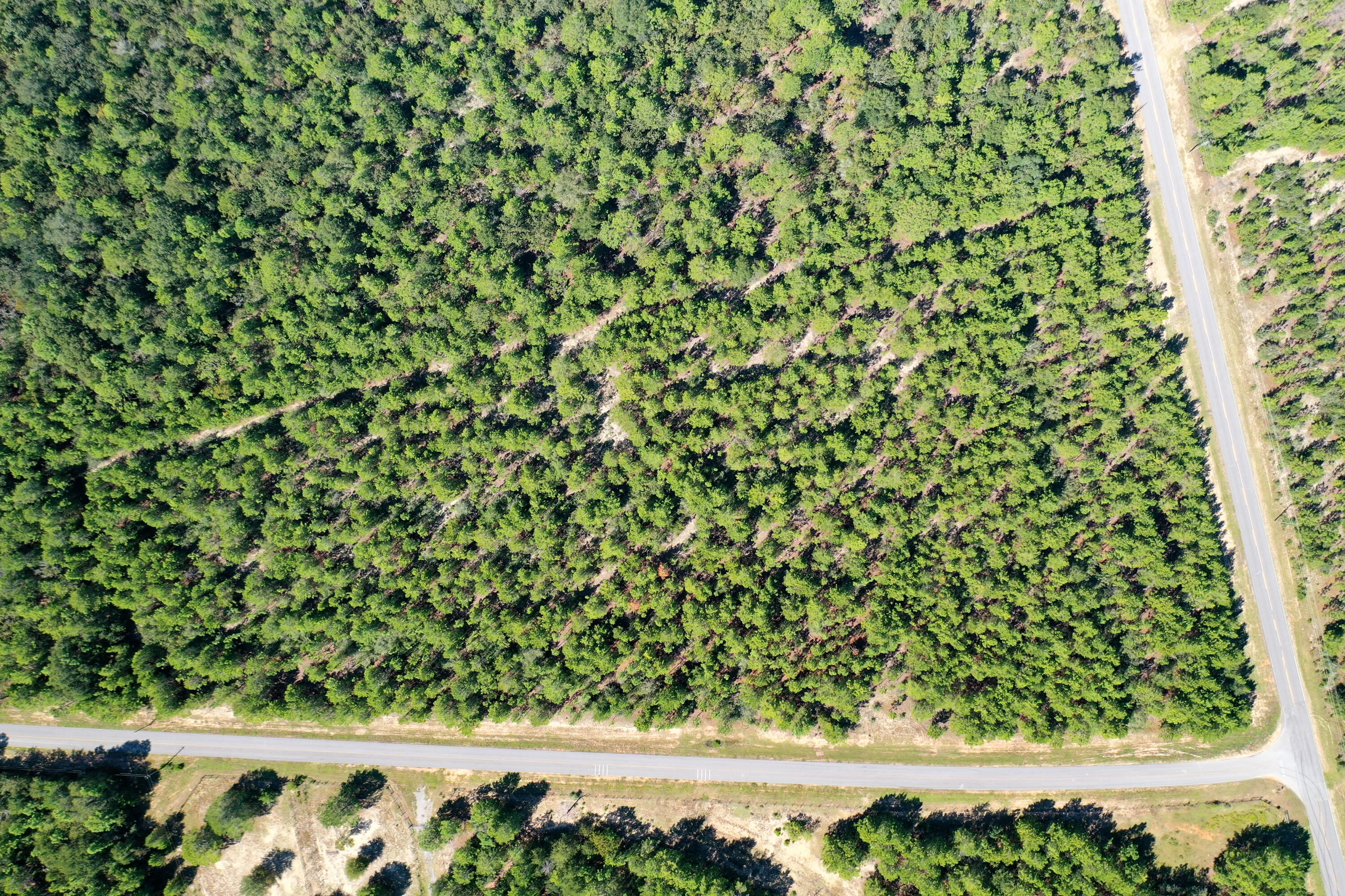 8-acres Crowder Chapel Road Crestview, FL 32539 - Photo 2 of 27 unknown