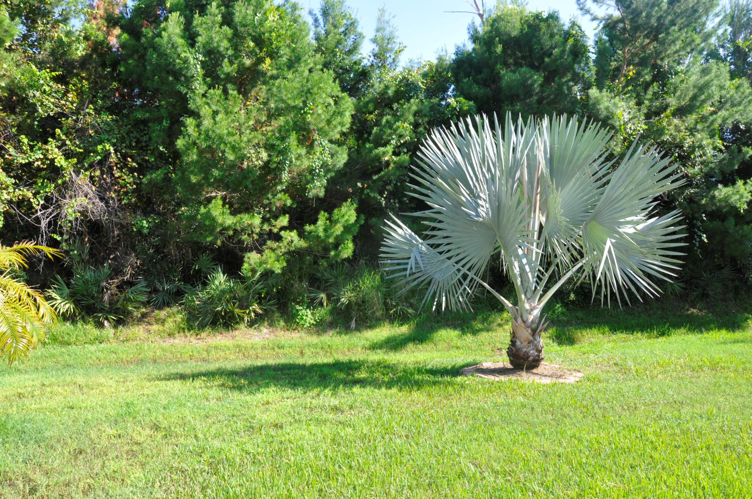2135 Spring Creek Circle Palm Bay, FL 32905 - Photo 15 of 15 Screened Porch