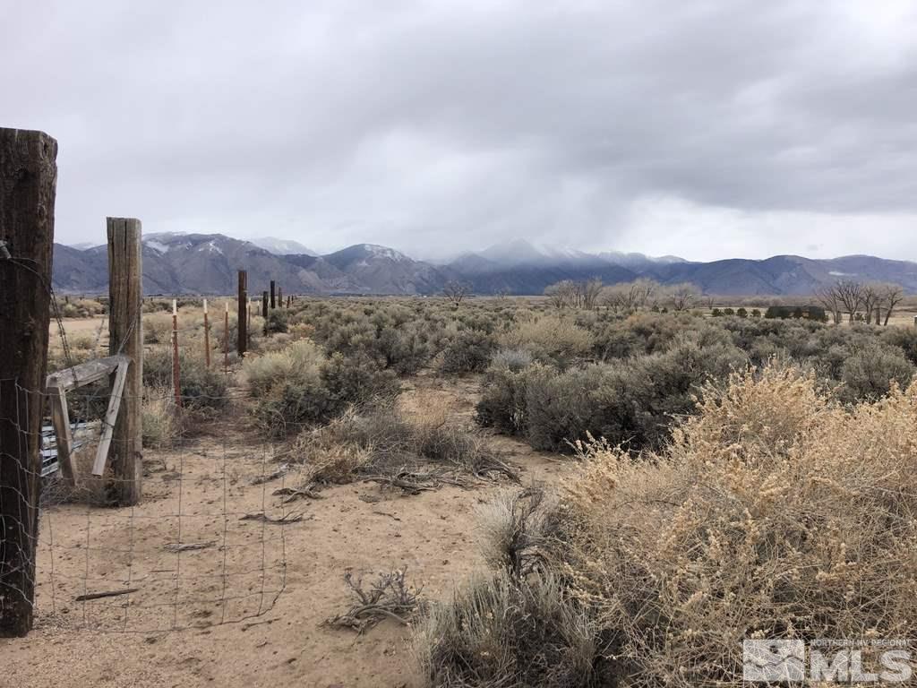 370 Olson Ranch Road Smith, NV 89430 - Photo 8 of 19 Photo 8