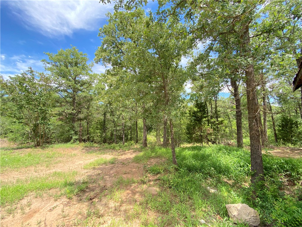182 Hidden Oaks Loop Elgin, TX 78621 - Photo 1 of 1 Gallery Image 1