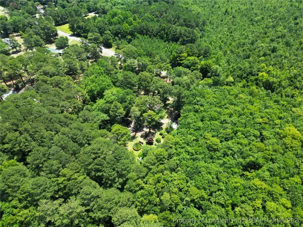 a view of a lush green forest