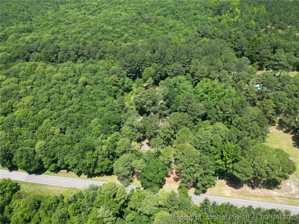a view of a lush green forest