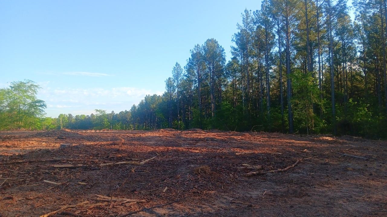 362 Asbury Road Pacolet, SC 29372 - Photo 5 of 6