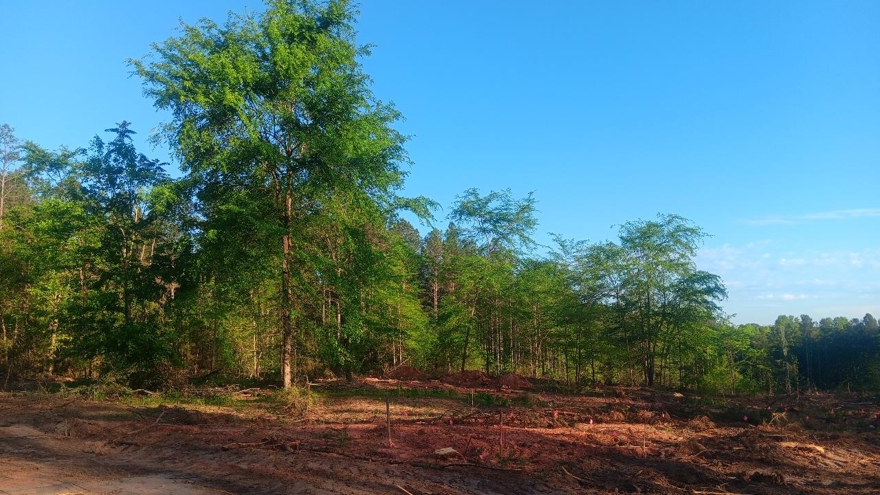 362 Asbury Road Pacolet, SC 29372 - Photo 6 of 6