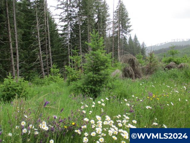 0 Northwest Fairdale Road Yamhill, OR 97148 - Photo 4 of 27