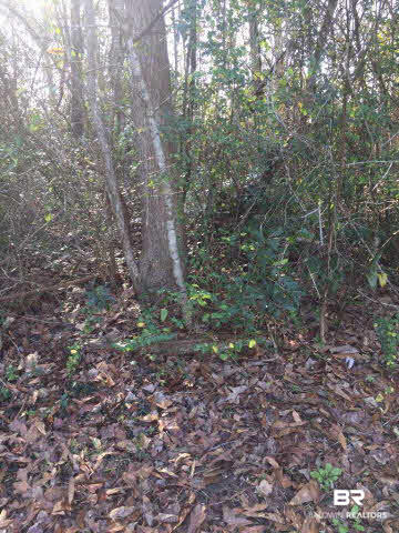 0 Dixie Landing Road Little River, AL 36550 - Photo 1 of 1
