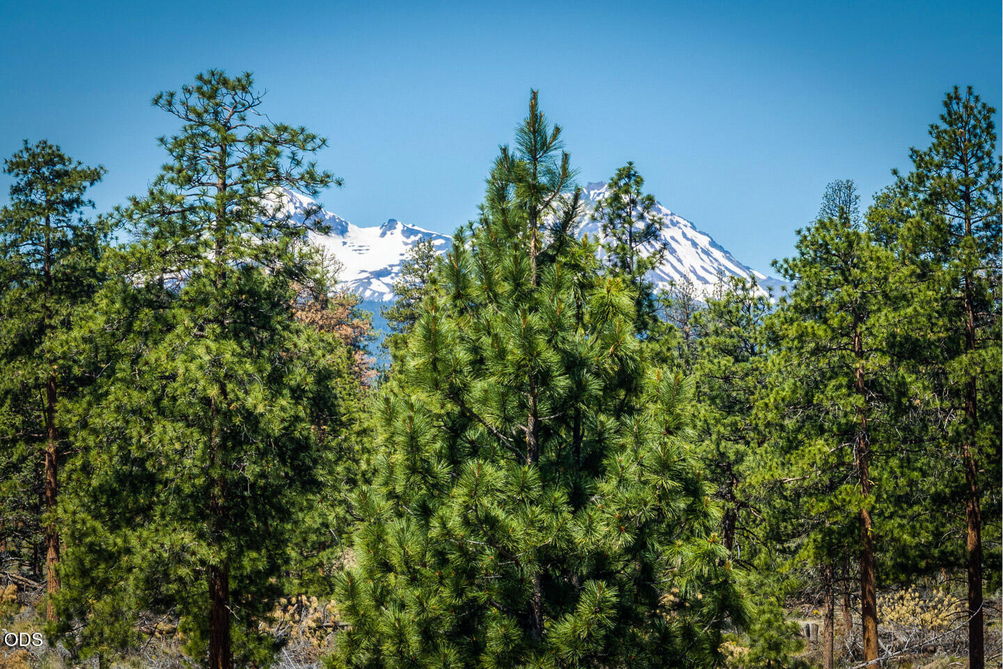 18705 Tumalo Reservoir Road Bend, OR 97703 - Photo 30 of 31