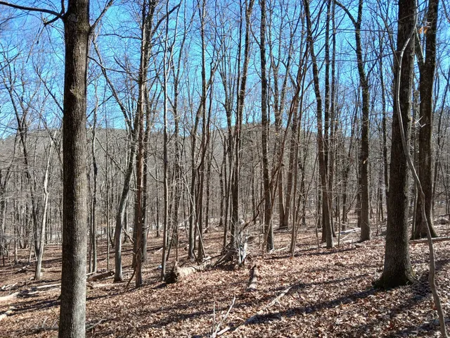 a view of a backyard of the house