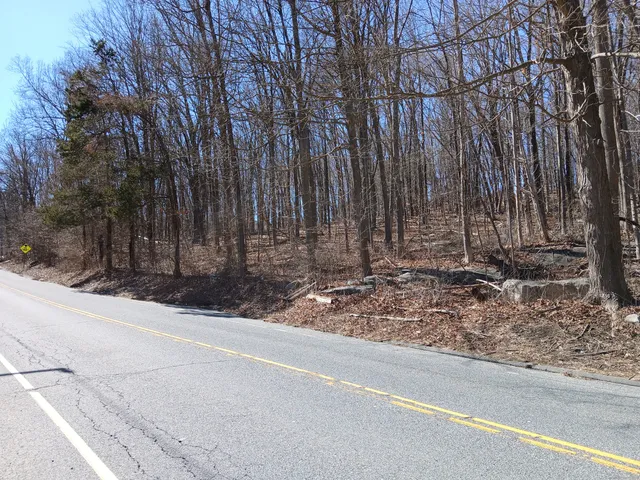 a view of a backyard with large trees
