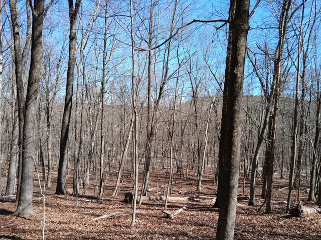 a view of a backyard of the house