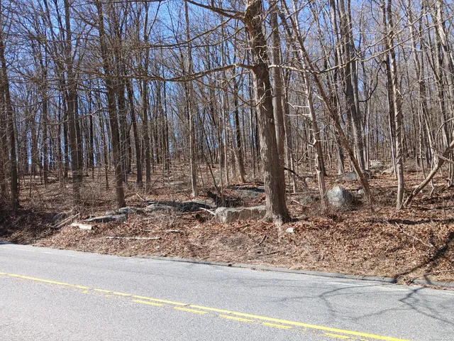 a view of a backyard with trees