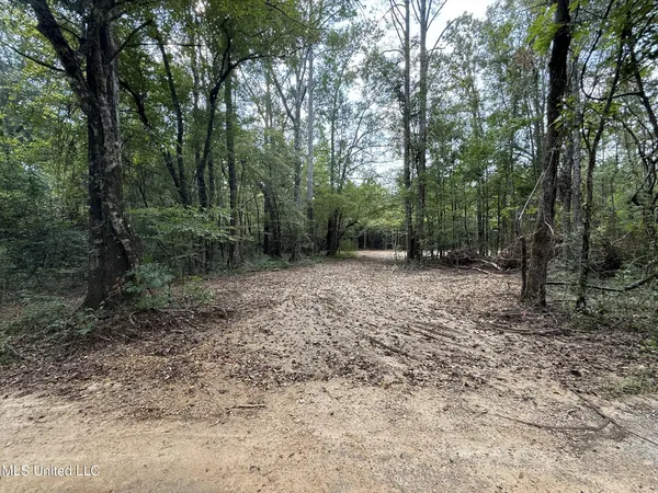 $166,500 | Southwest Dalton Lane Southwest, Smithdale, MS 39664