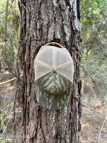 $166,500 | Southwest Dalton Lane Southwest, Smithdale, MS 39664