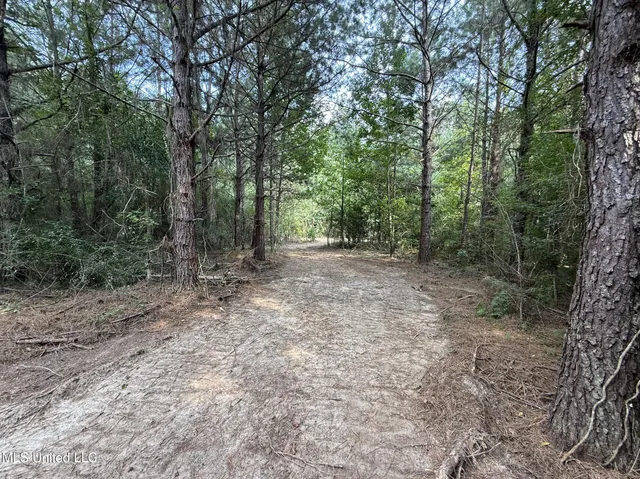 $166,500 | Southwest Dalton Lane Southwest, Smithdale, MS 39664