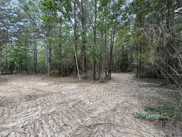 $166,500 | Southwest Dalton Lane Southwest, Smithdale, MS 39664