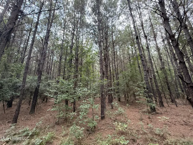 $166,500 | Southwest Dalton Lane Southwest, Smithdale, MS 39664