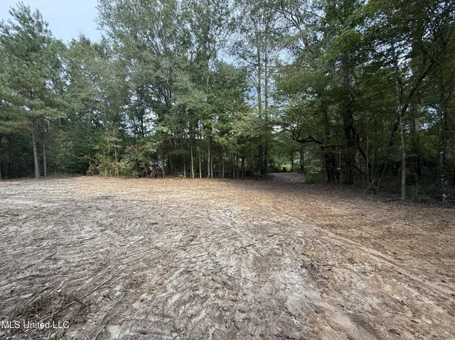 $166,500 | Southwest Dalton Lane Southwest, Smithdale, MS 39664