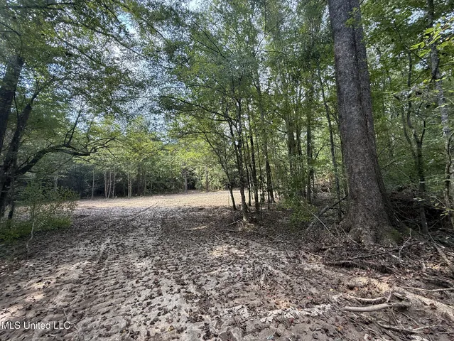 $166,500 | Southwest Dalton Lane Southwest, Smithdale, MS 39664