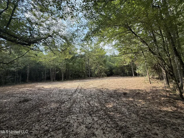 $166,500 | Southwest Dalton Lane Southwest, Smithdale, MS 39664