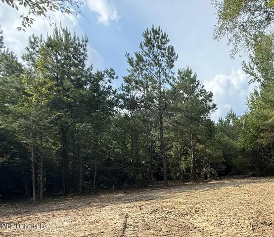 $166,500 | Southwest Dalton Lane Southwest, Smithdale, MS 39664