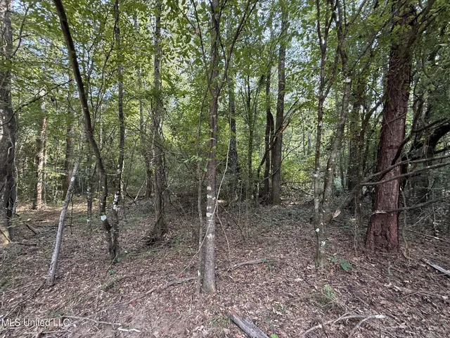 $166,500 | Southwest Dalton Lane Southwest, Smithdale, MS 39664