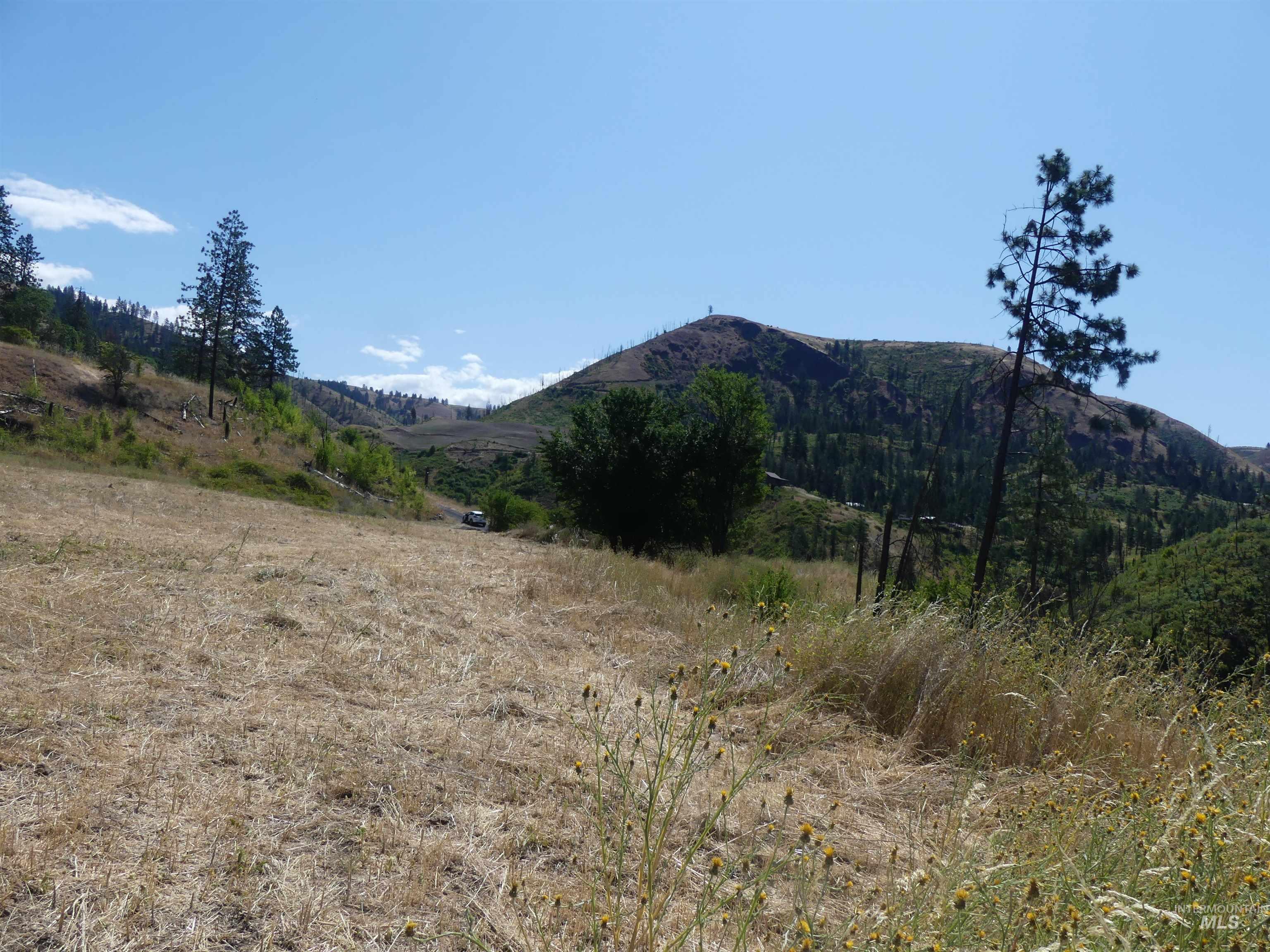355 Glenwood Road Kamiah, ID 83536 - Photo 4 of 12