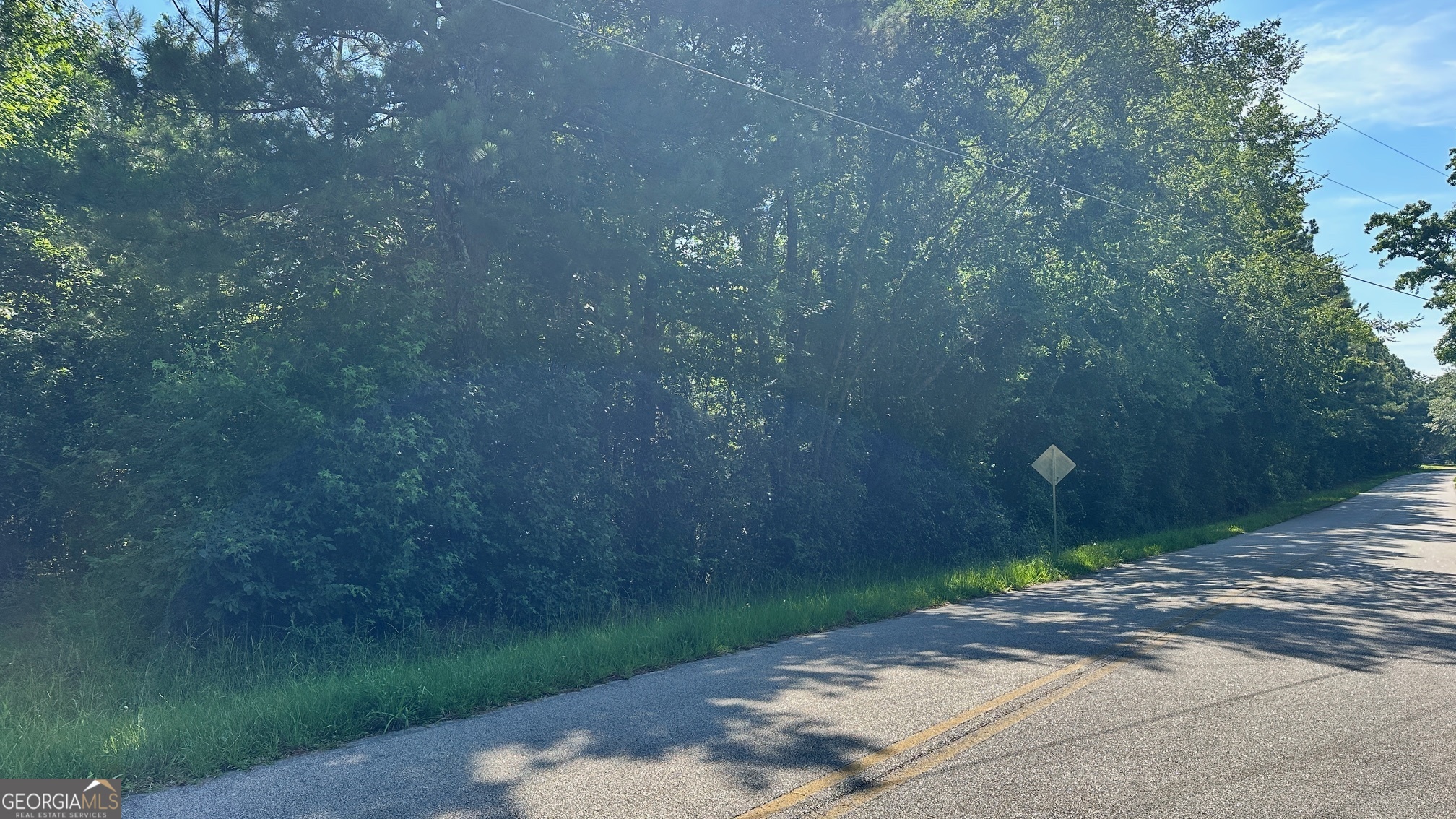 .94-ac Warren Road White Plains, GA 30678 - Photo 4 of 4 a pathway of a yard