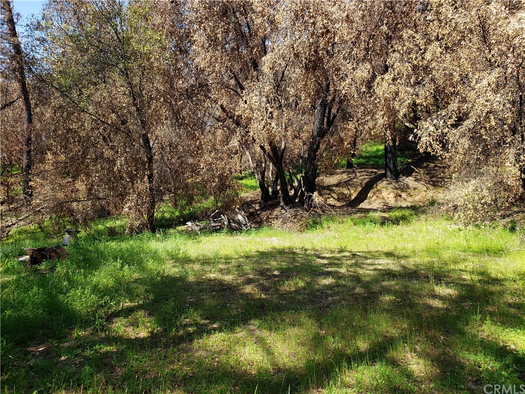 0 Ponderosa Way Rackerby, CA 95972 - Photo 1 of 1 Gallery Image 1