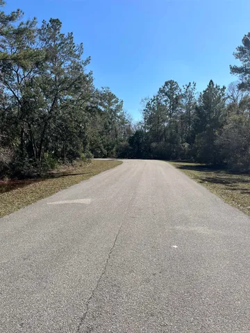 $25,000 | Xx Burnt Pine Loop, Crawfordville, FL 32327