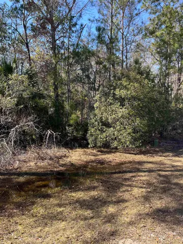 $25,000 | Xx Burnt Pine Loop, Crawfordville, FL 32327