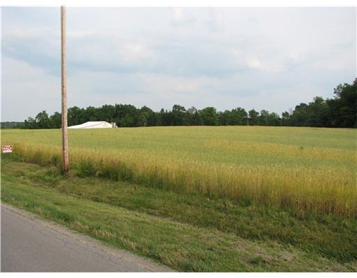 0 Buckland-holden Road Waynesfield, OH 45896 - Photo 5 of 6