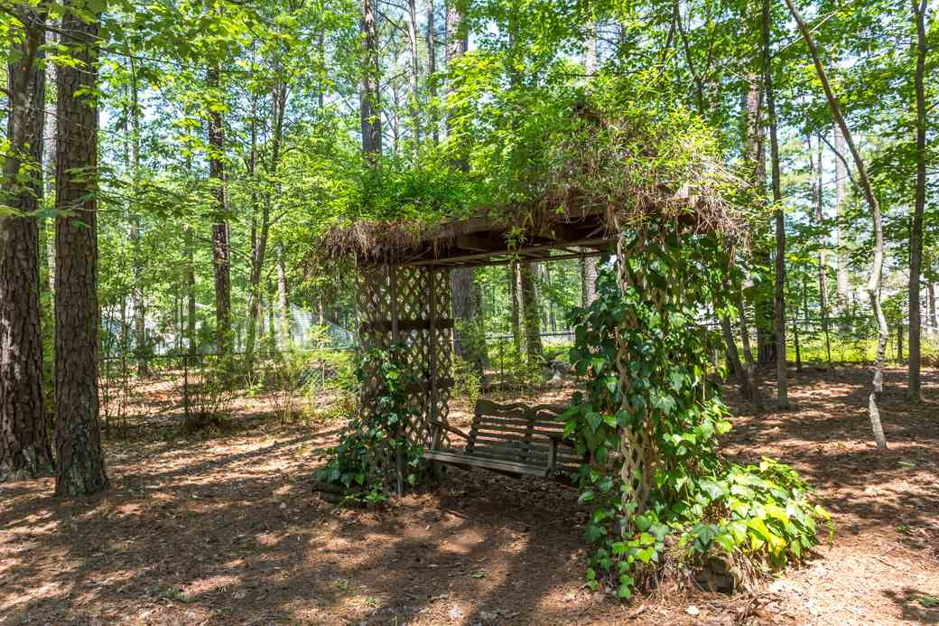 1117 Sedwick Road Durham, NC 27713 - Photo 12 of 13 Back Yard