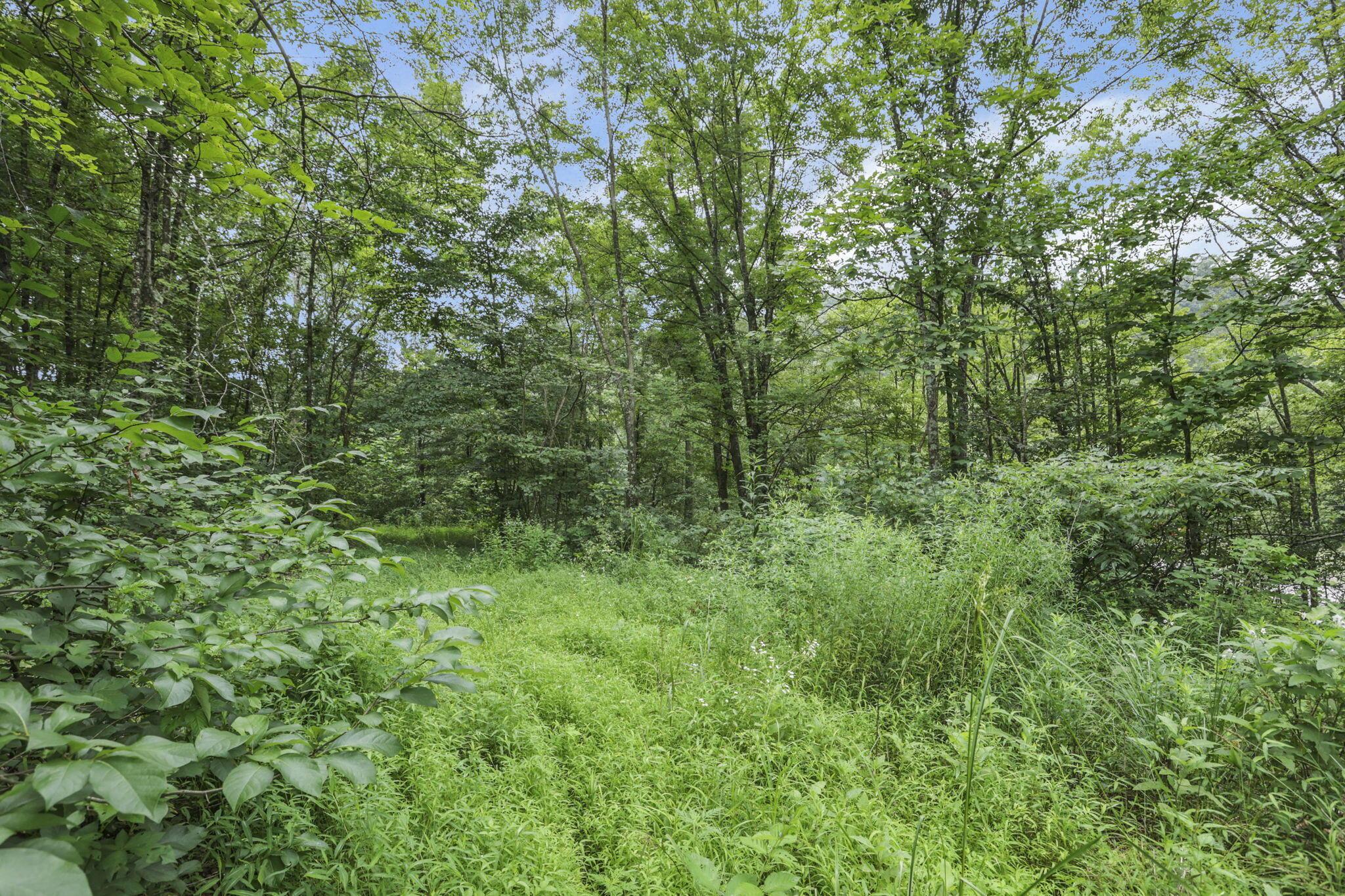 0 Greens Run Road Glouster, OH 45732 - Photo 119 of 121 119-web-or-mls-LO5A2131