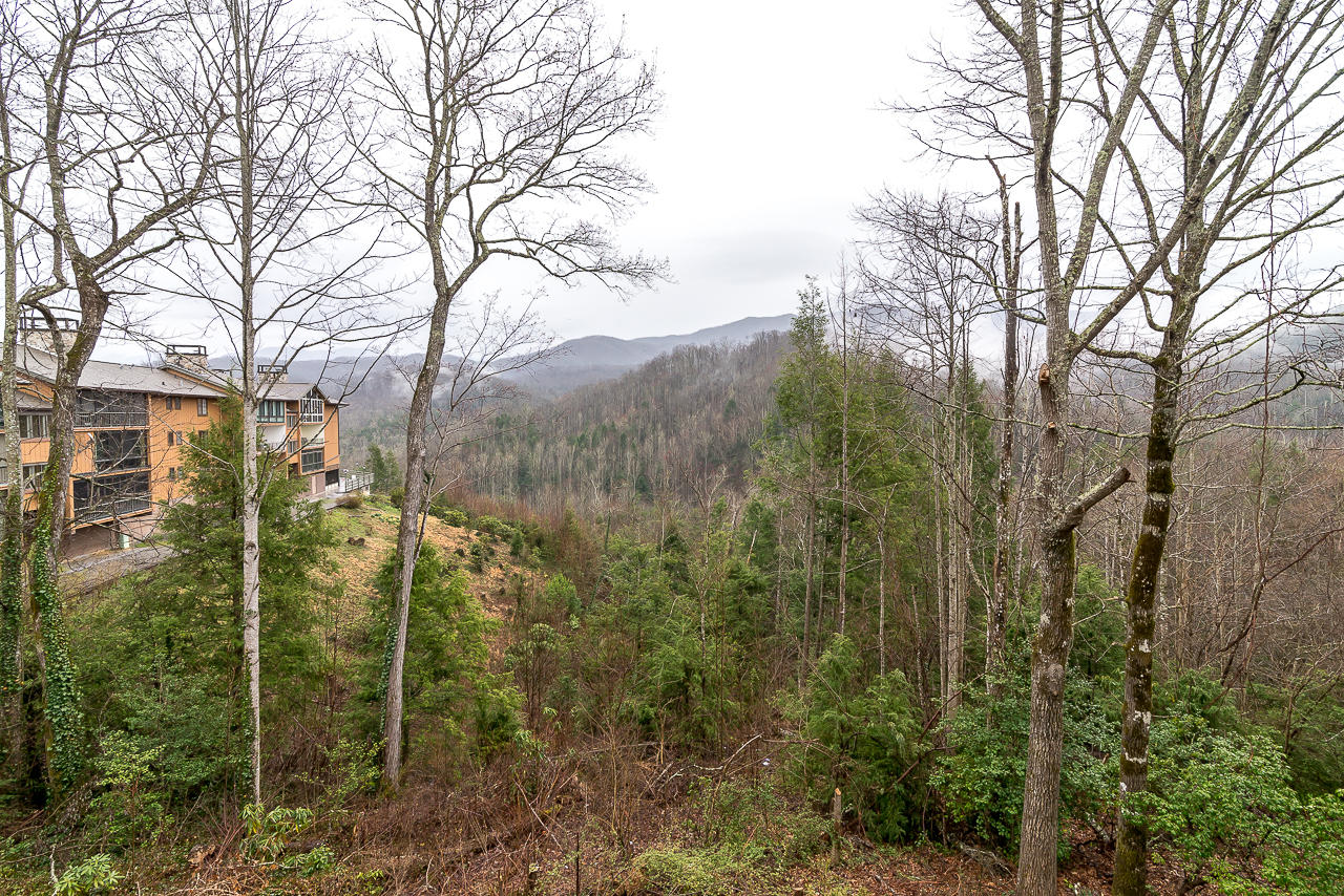 221 Woodland Road, Unit 302 Gatlinburg, TN 37738 - Photo 22 of 27 GSM_8942