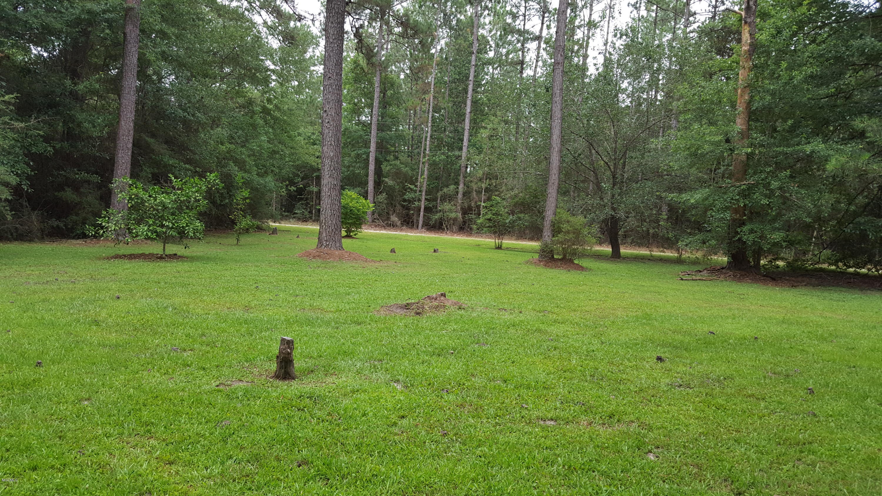 50 D And N Road Picayune, MS 39466 - Photo 28 of 29 Front Yard
